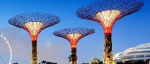 Singapore – Forest of the future
